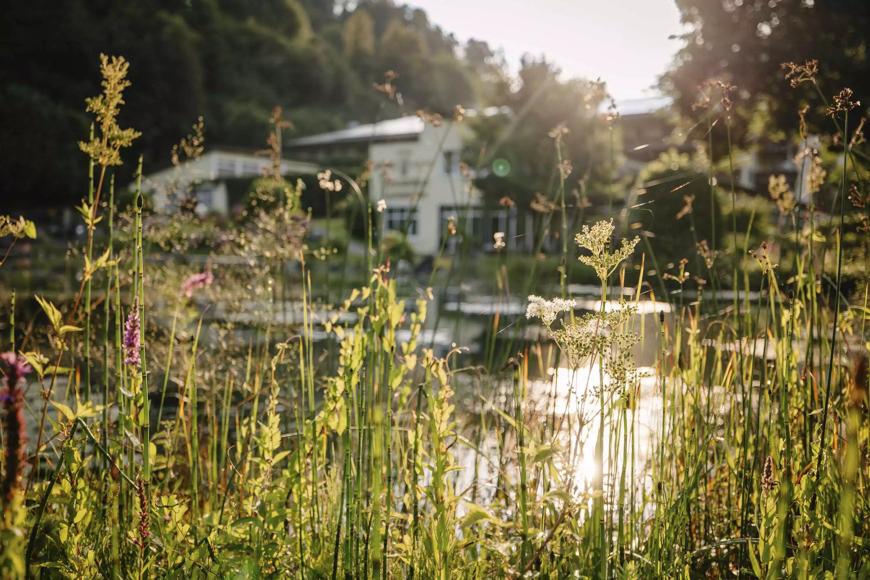 Hotel Vitalquelle Montafon