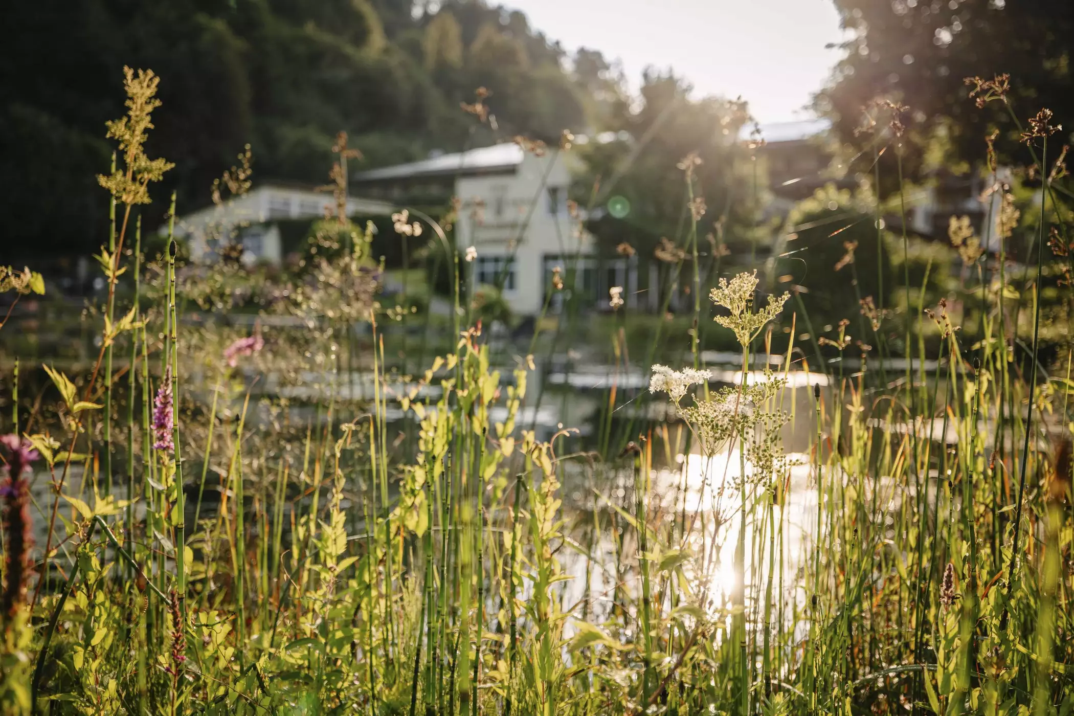 Vitalquelle Montafon – Ihr Wellnesshotel Vorarlberg