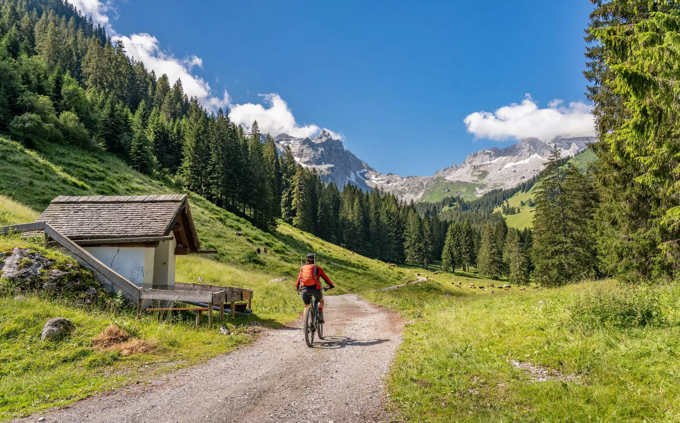 BergePLUS Sportprogramm